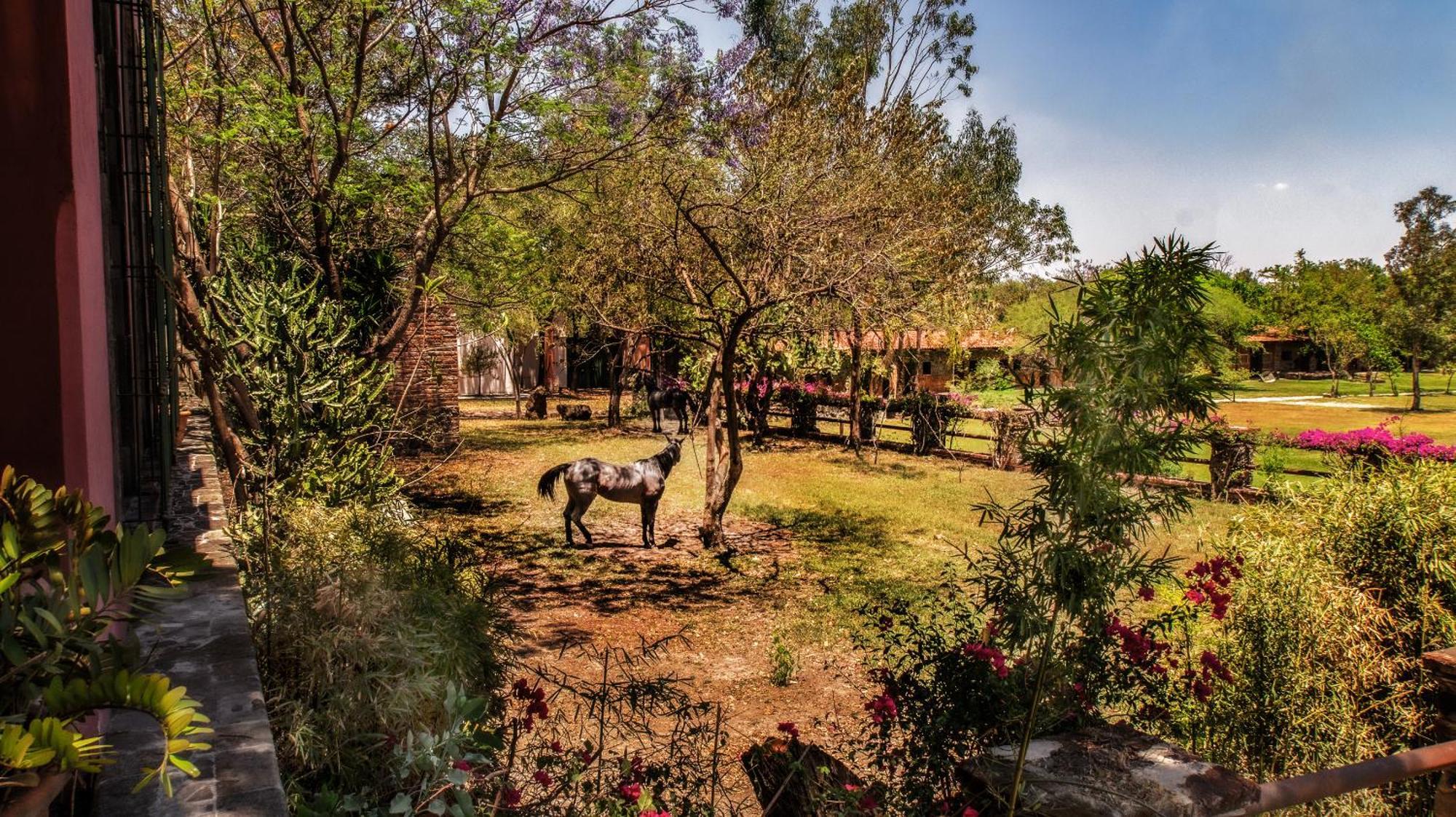 Hacienda Labor De Rivera Hotel Boutique & Eventos Teuchitlán Exteriér fotografie